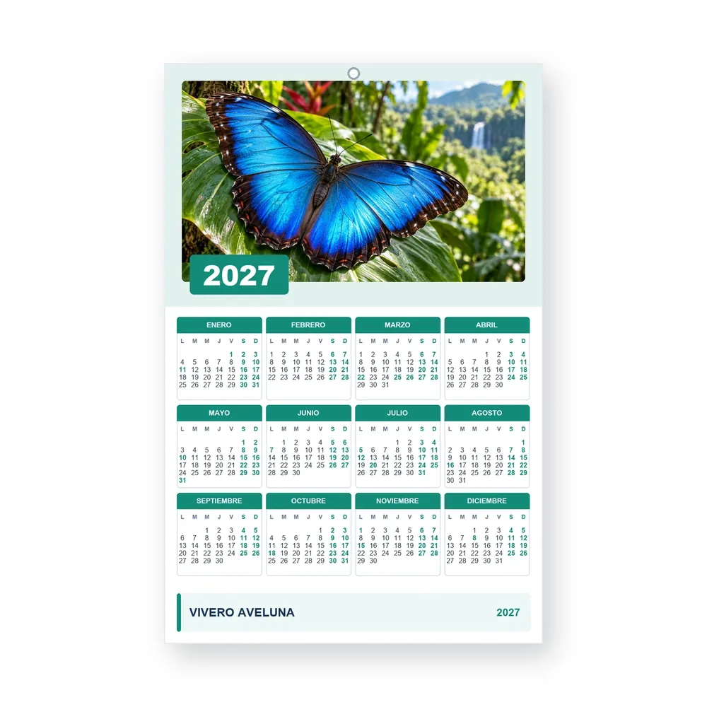 Calendario de diseño propio PG27-13-11