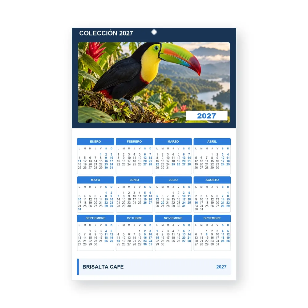 Calendario de diseño propio PG27-24-17