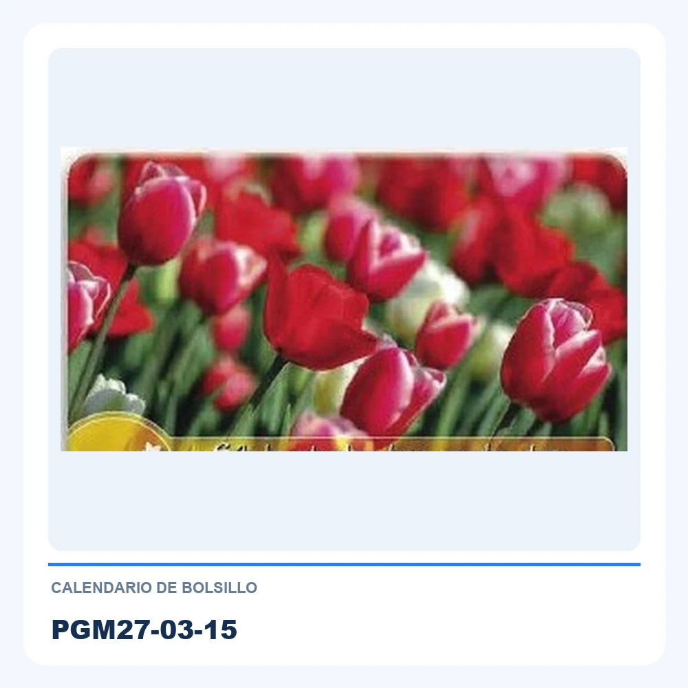 Calendario de Bolsillo PGM27-03-15